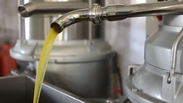 VivaxOlea The Art Of Olive and Oil Video 21