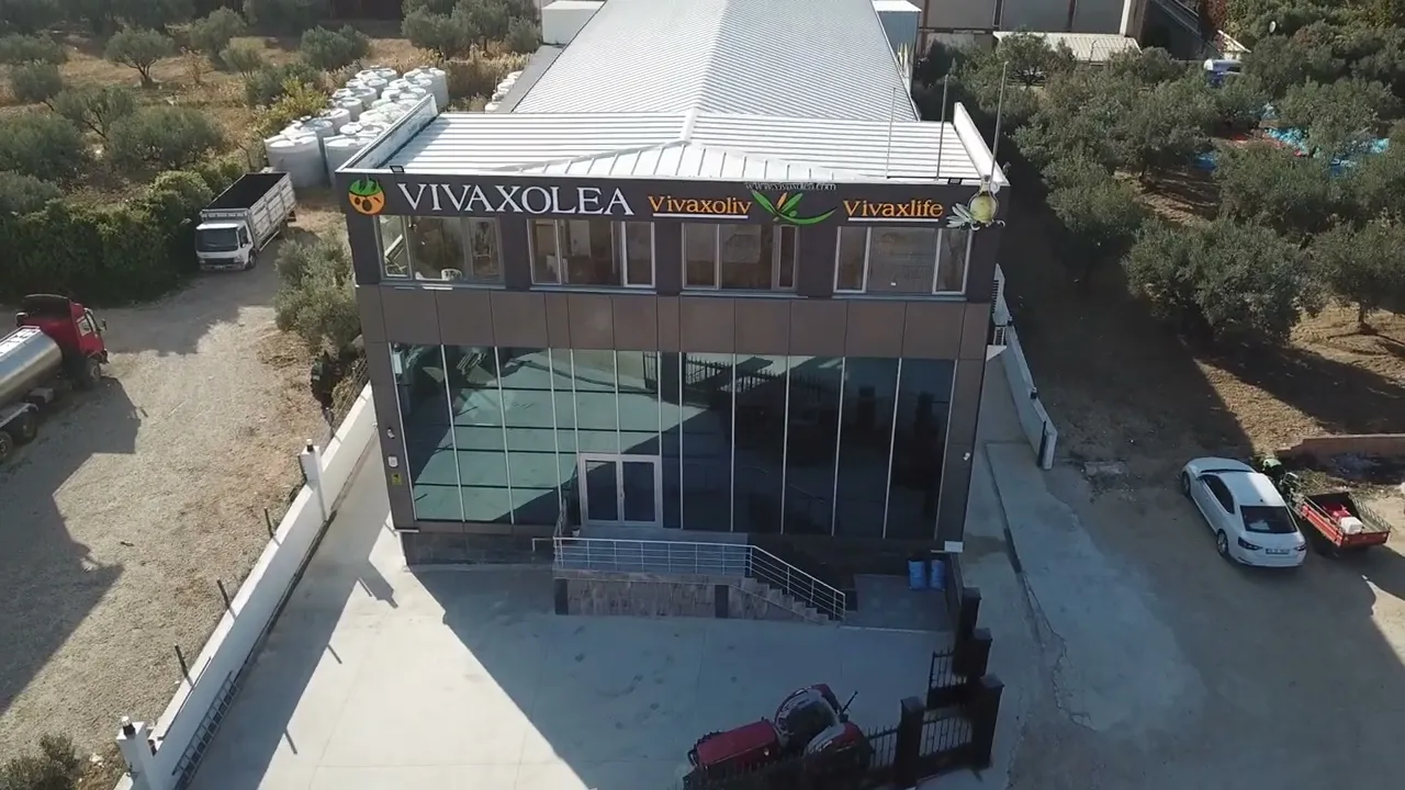 VivaxOlea The Art Of Olive and Oil Video 32