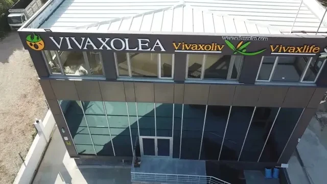 VivaxOlea The Art Of Olive and Oil Video 33